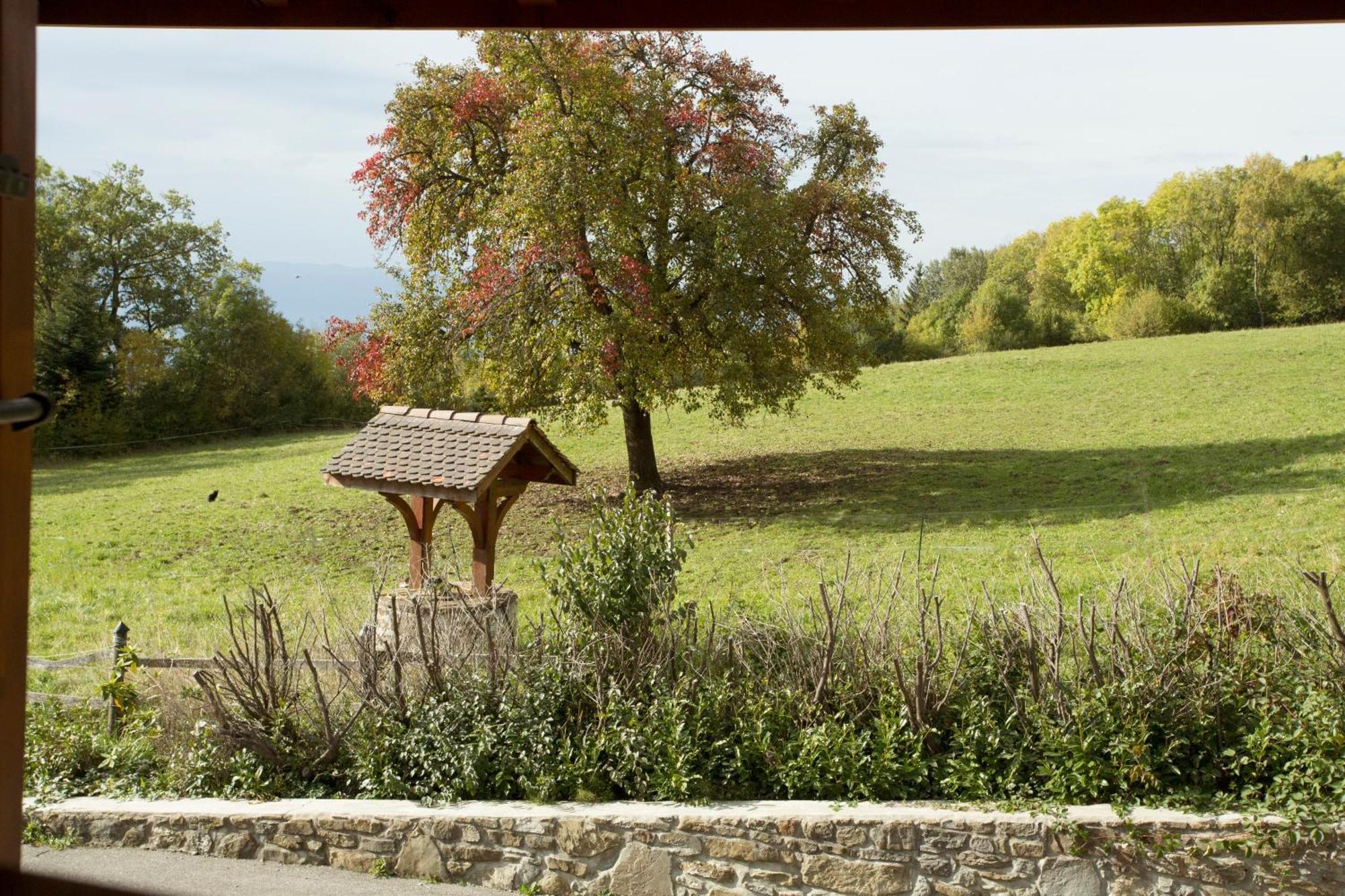 Le Bonheur Dans Le Pre Hotel Lucinges Bagian luar foto